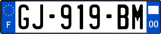 GJ-919-BM