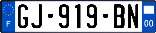 GJ-919-BN