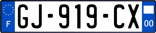 GJ-919-CX