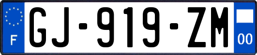 GJ-919-ZM