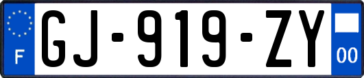 GJ-919-ZY