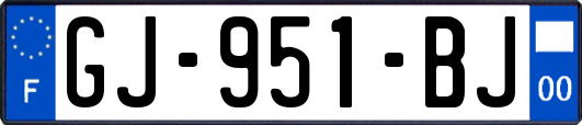 GJ-951-BJ