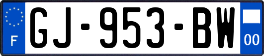 GJ-953-BW