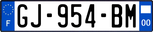 GJ-954-BM