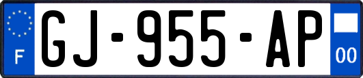 GJ-955-AP