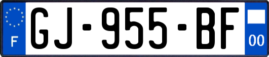 GJ-955-BF