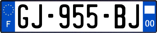 GJ-955-BJ