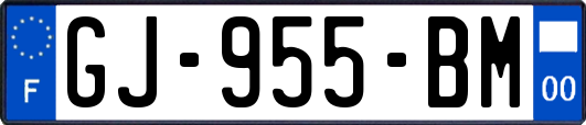 GJ-955-BM