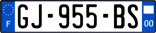 GJ-955-BS