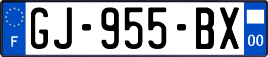 GJ-955-BX