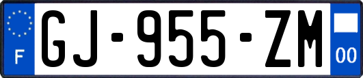 GJ-955-ZM