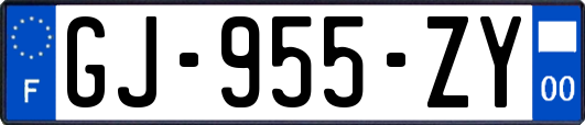 GJ-955-ZY