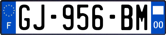 GJ-956-BM