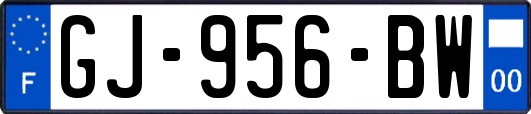 GJ-956-BW