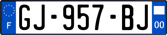 GJ-957-BJ