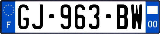 GJ-963-BW