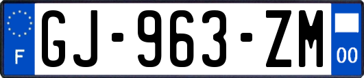GJ-963-ZM
