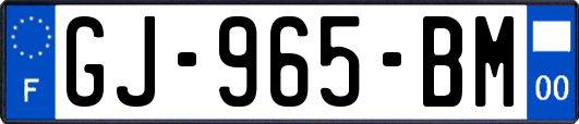 GJ-965-BM