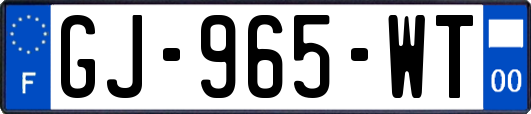 GJ-965-WT