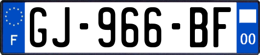 GJ-966-BF
