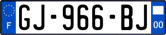 GJ-966-BJ