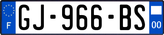 GJ-966-BS