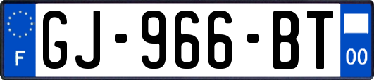 GJ-966-BT