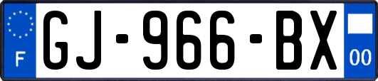 GJ-966-BX