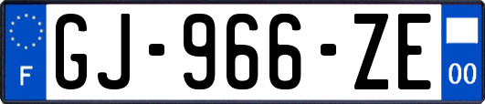 GJ-966-ZE