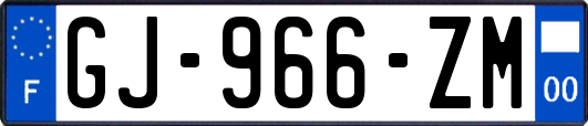 GJ-966-ZM