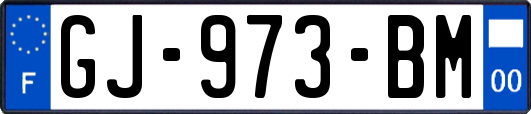 GJ-973-BM