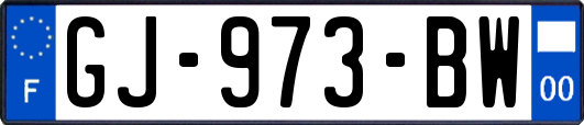 GJ-973-BW