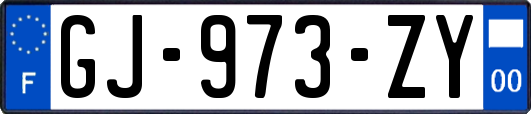 GJ-973-ZY