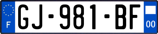 GJ-981-BF