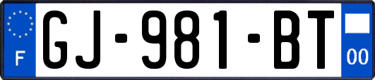 GJ-981-BT