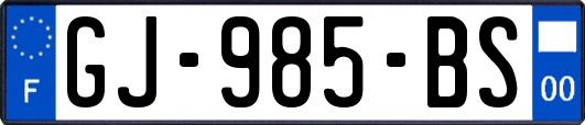 GJ-985-BS