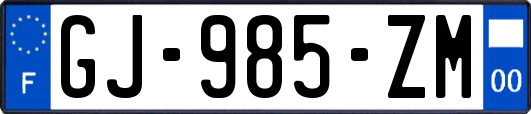 GJ-985-ZM