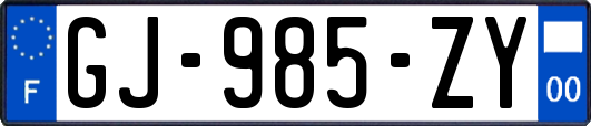 GJ-985-ZY