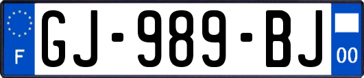 GJ-989-BJ