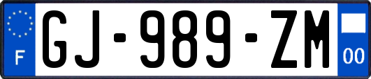 GJ-989-ZM