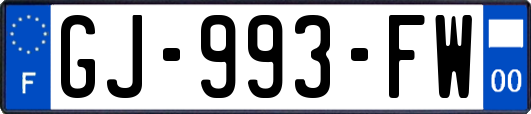 GJ-993-FW