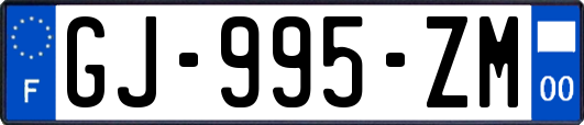 GJ-995-ZM