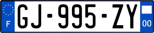 GJ-995-ZY