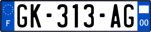 GK-313-AG