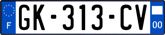GK-313-CV