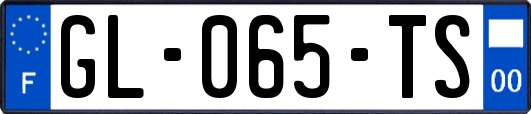 GL-065-TS