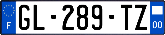 GL-289-TZ