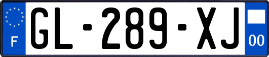 GL-289-XJ