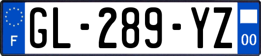 GL-289-YZ