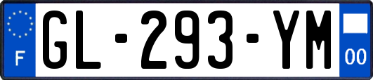 GL-293-YM